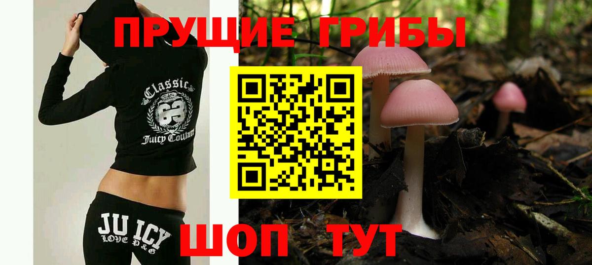 Галлюциногенные грибы Psilocybine cubensis Каменск-Шахтинский